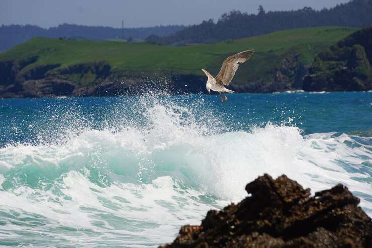 WORK OF WIND AND SEA-WAVES