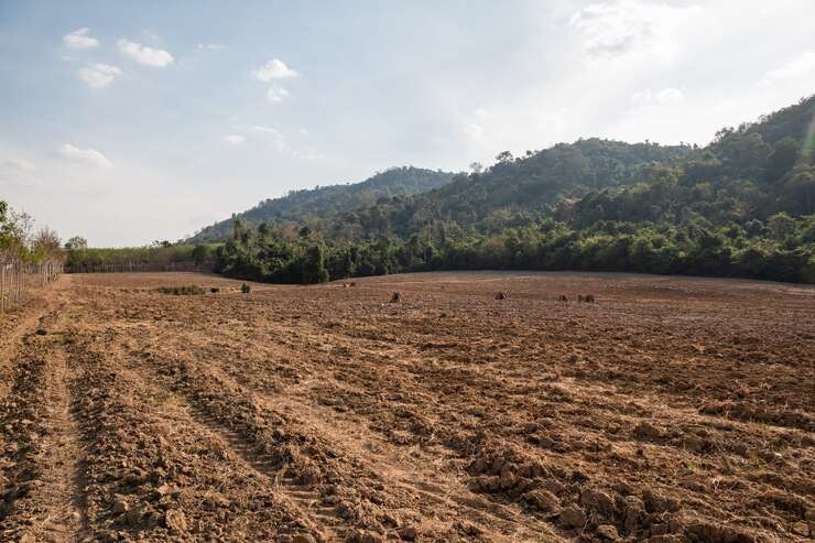 Soil and Forest of India